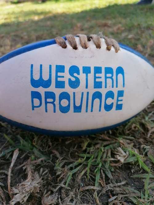 Small Western Province Rugby Ball