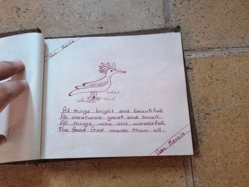 Vintage Autograph album