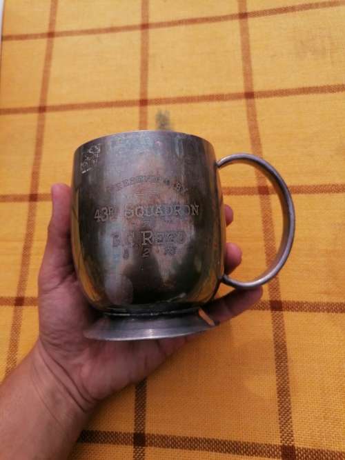 43rd Fighter Squadron mug