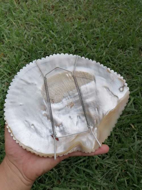 Antique Mother of Pearl Carving of Dragon and Phoenix