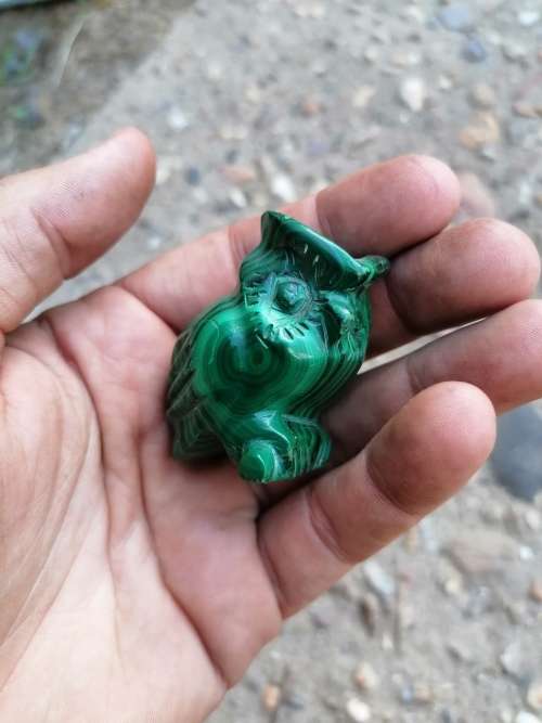 MALACHITE OWL