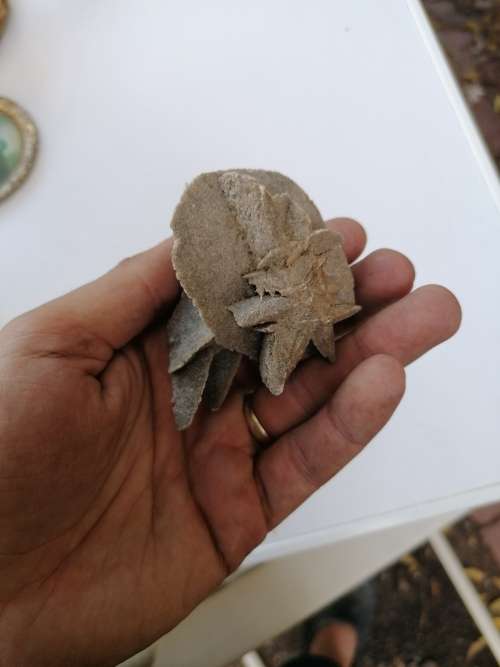 Desert rose Crystal