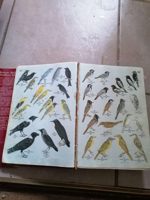 ROBERT`S BIRDS OF SOUTHERN AFRICA.