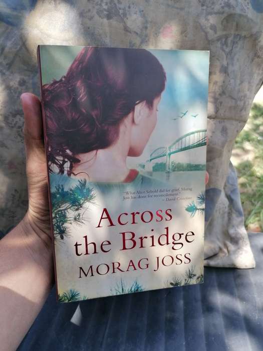 Across The Bridge Morag Joss
