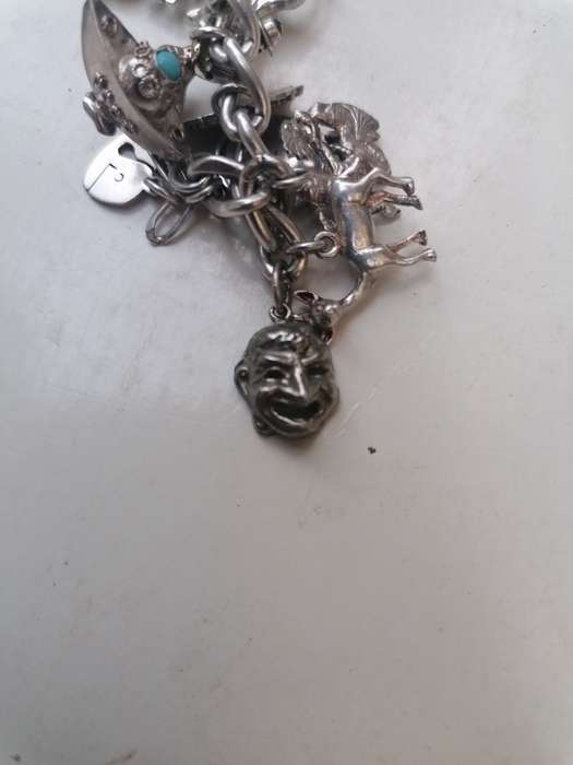 Wow stunning silver charms bracelet with 23 silver charms