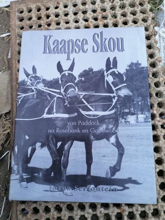 Kaapse Skou van Paddock na Rosebank en Goodwood  Serfontein, Jozua