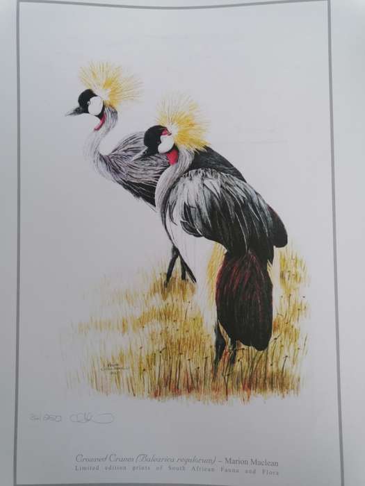 marion maclean signed limited edition print of fauna and flora 42cm x 32cm