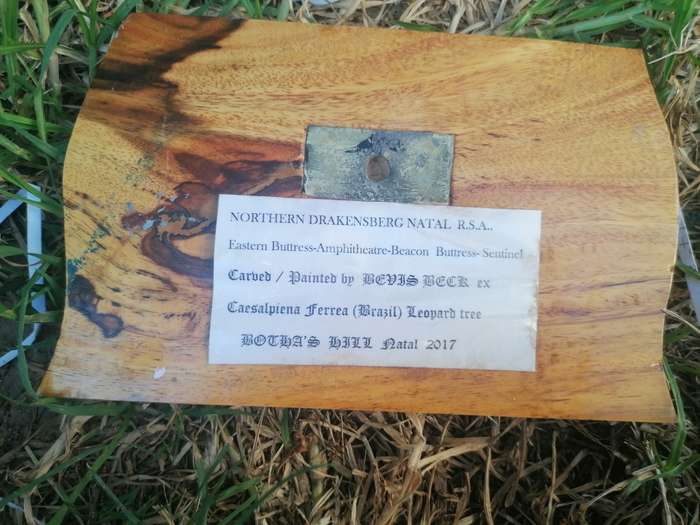 Lovely painting on wood