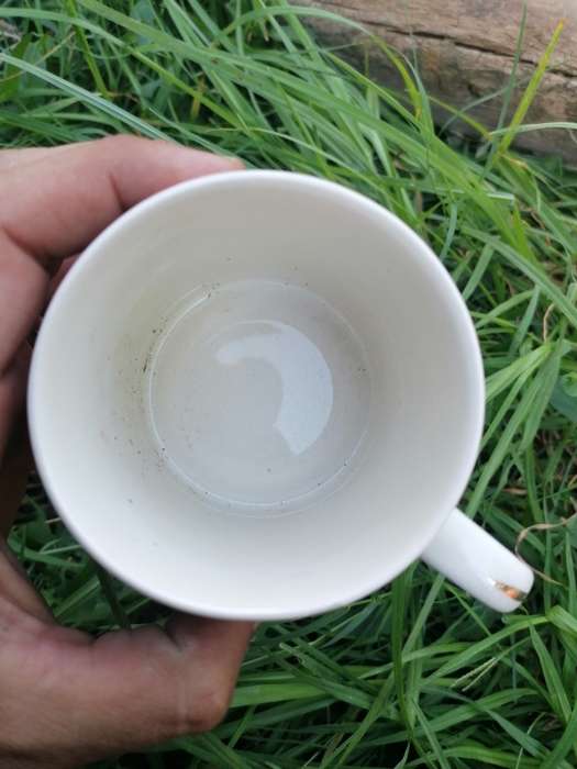 Rare find King Edward VIII, Royal Mug, 1937 Coronation