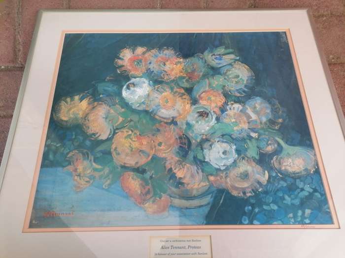 Alice Tennant, Proteas sanlam print