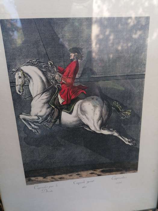 Hand Colored Equestrian Engraving After Ridinger By Edizioni Ponte Vecchio