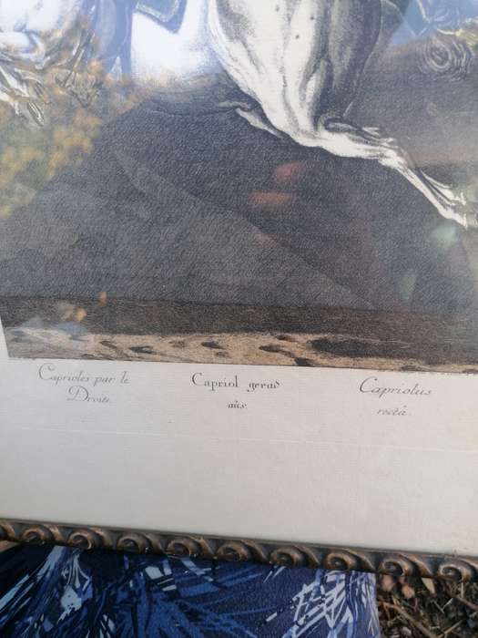 Hand Colored Equestrian Engraving After Ridinger By Edizioni Ponte Vecchio