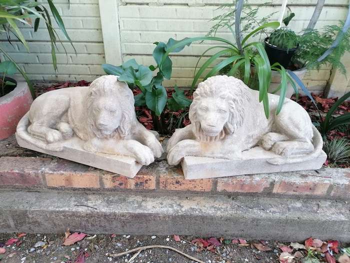 Lovely set of 2 vintage lion garden decor. Very heavy. Strictly self collection in Robertson western