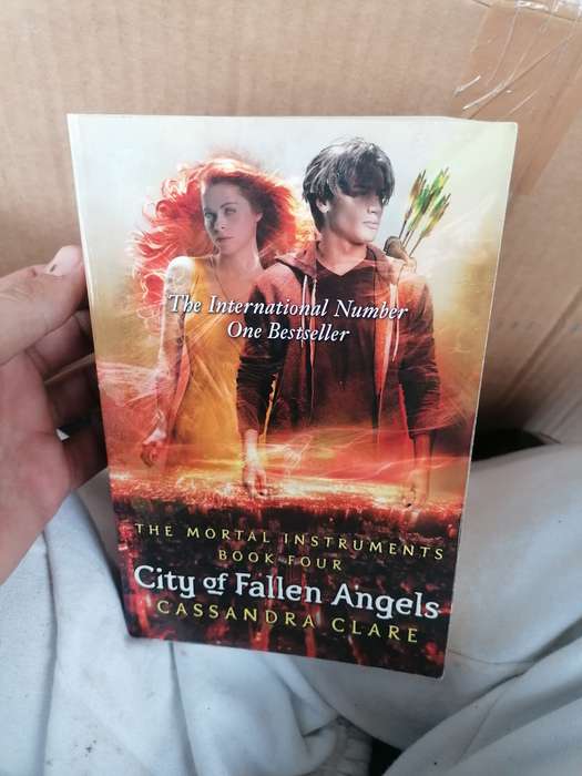 City of Fallen Angels Book by Cassandra Clare
