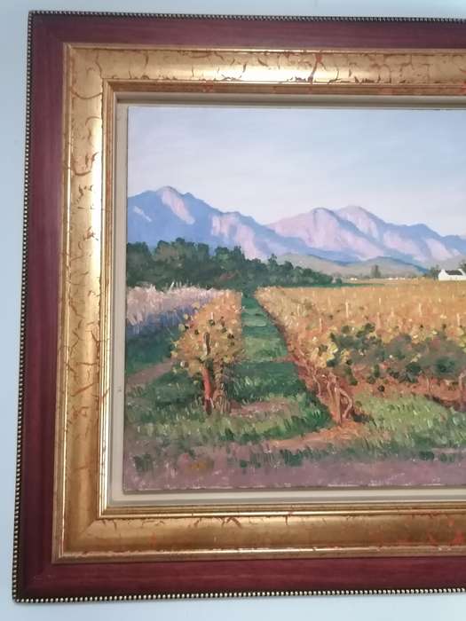 large Roelof Rossouw `evening light Robertson` 910 x 610mm