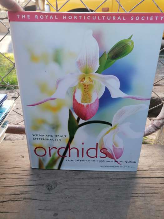 Orchids: A Practical Guide to the World's Most Fascinating Plants