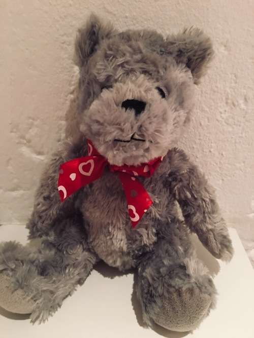**Christmas Savings - Super cute, Soft and cuddly Storybook Teddie**