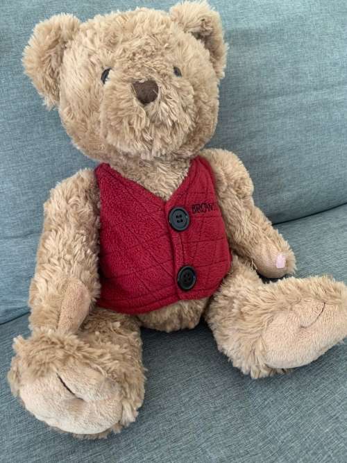 **Crazy Sale : Get this lovely Mr Brown Teddy**