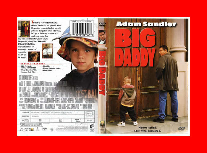 DVD - BIG DADDY -  REGION 1 EDITION