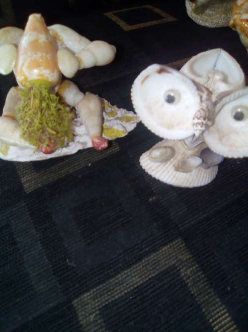 6 SHELL ORNAMENTS