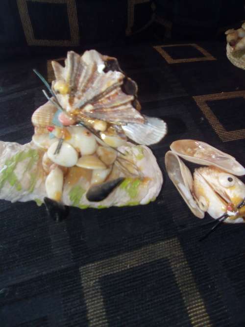 6 SHELL ORNAMENTS