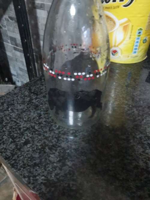 VINAGE COW MILK BOTTLE