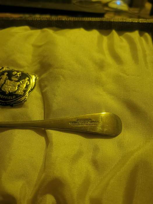 ANTIQUE SHEFFIELD FISH SET