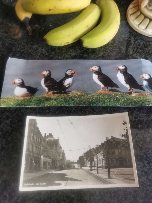 20 UNUSED VINTAGE POST CARDS LOT 3