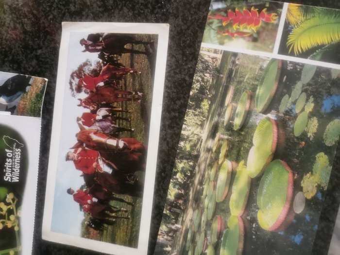 20 UNUSED VINTAGE POST CARDS LOT 3