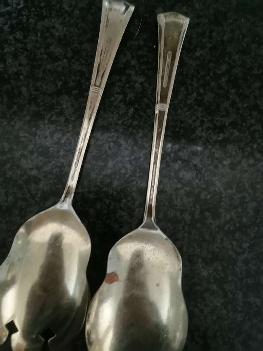 EPNS Salad set