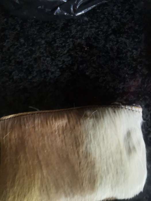 SMALL COLLECTABLE PURSE