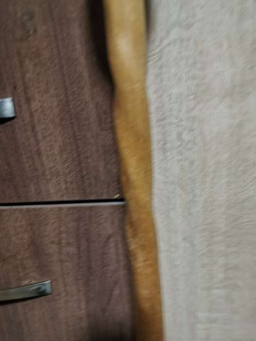 VINTAGE WALKING STICK 2