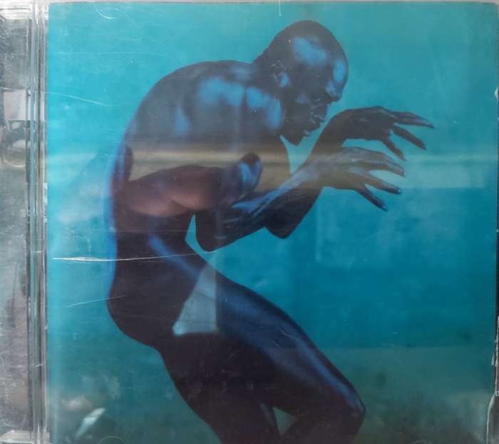 Seal - Humanbeing