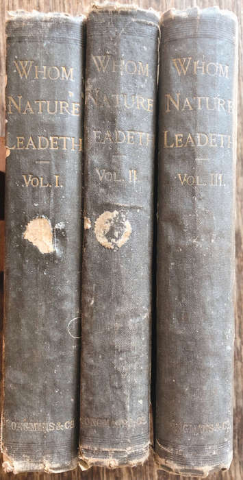 1883 WHOM NATURE LEADETH BY G NOEL HATTON FIRST EDITION IN 3 VOLUMES