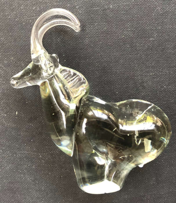 GLASS ROAN SABLE ANTELOPE NGWENYA SWAZILAND