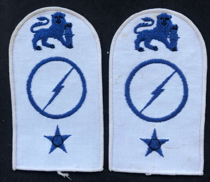 MILITARY EMBROIDERED EPAULETTES