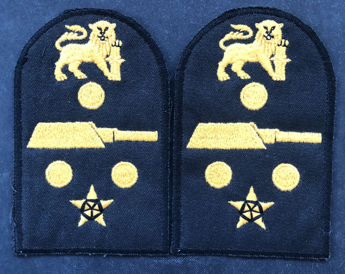 MILITARY EMBROIDERED EPAULETTES