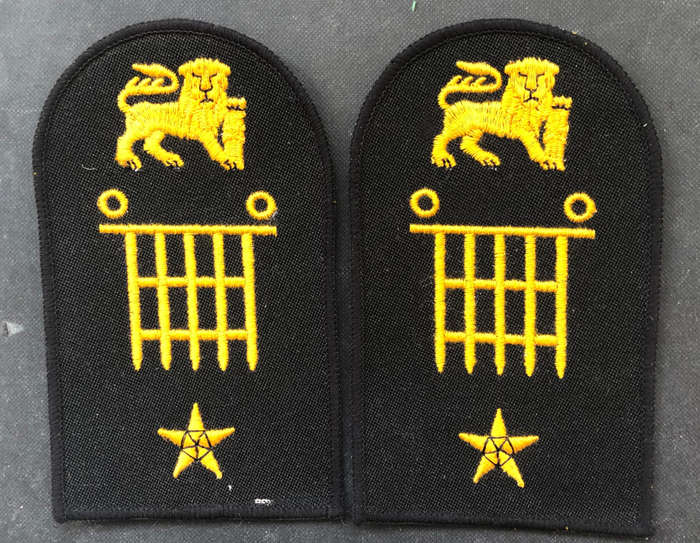 MILITARY EMBROIDERED EPAULETTES