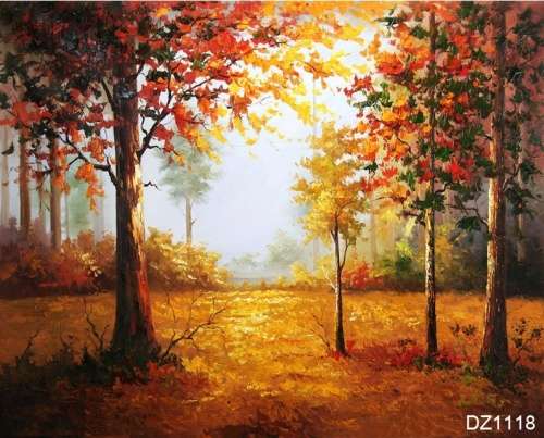 Paint by Numbers SA