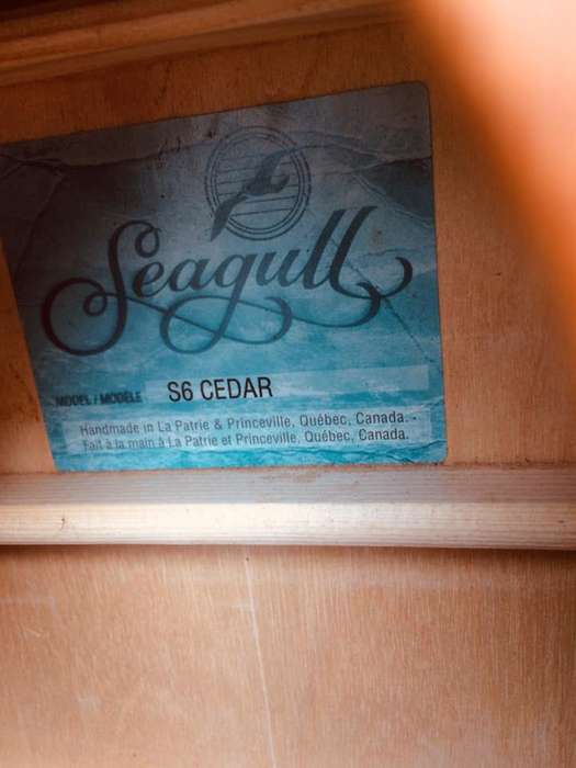 1998 Seagull S6 Cedar Acoustic Guitar - Lefty - WOW - EX+