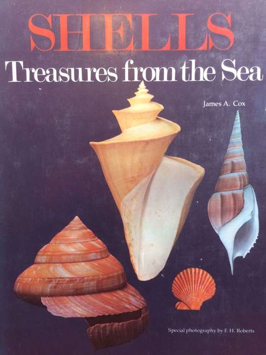 Shells Treasures from the Sea - James A Cox / HARDCOVER