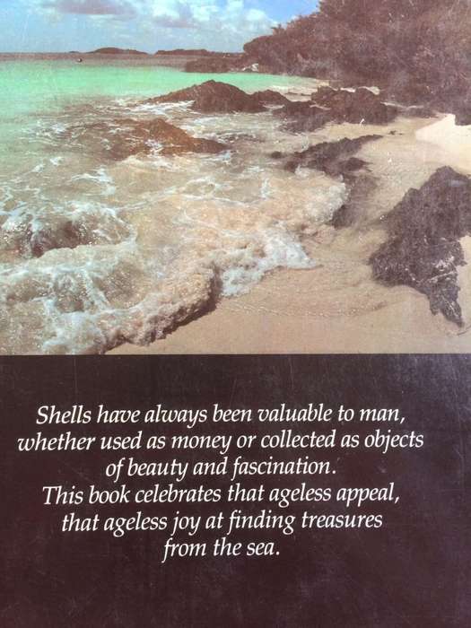 Shells Treasures from the Sea - James A Cox / HARDCOVER