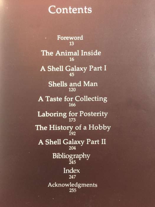 Shells Treasures from the Sea - James A Cox / HARDCOVER