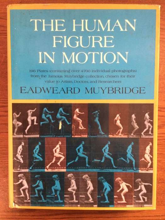 The Human Figure in Motion - Eadweard Muybridge (Hardcover)