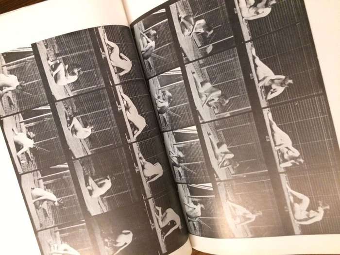 The Human Figure in Motion - Eadweard Muybridge (Hardcover)