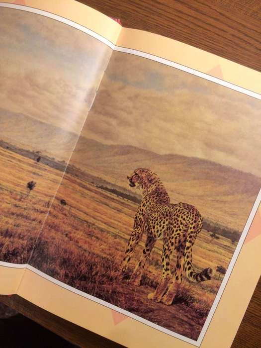 Out of Africa - Karen Blixen (Illustrated Hardcover Edition)