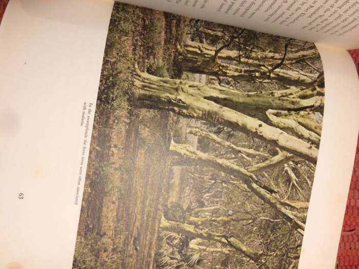 Zambezi South: An Explorers View of Africa South of the Zambezi - John Sinclair (1970 1st Edition)