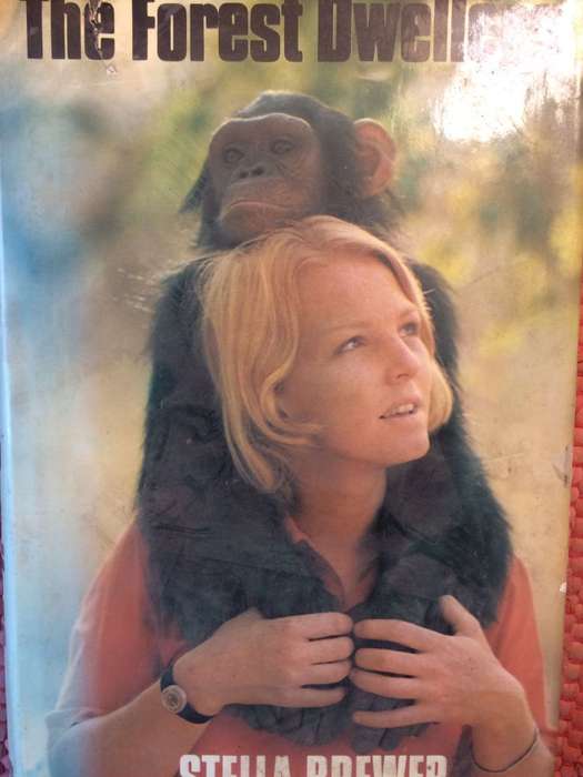 The Forest Dwellers - Stella Brewer (1978 1st Edition Hardcover)