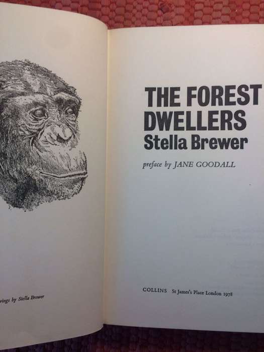 The Forest Dwellers - Stella Brewer (1978 1st Edition Hardcover)