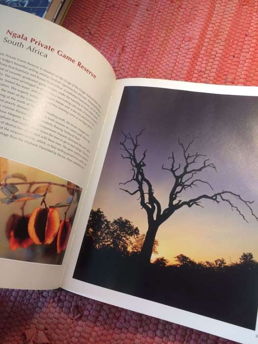 African Trees: A Photographic Exploration - Charles Bryant and Brita Lomba